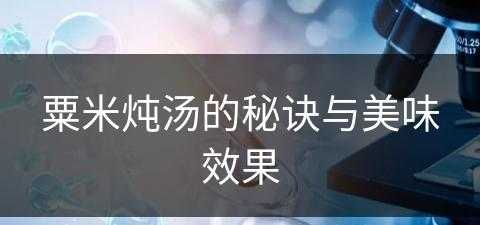 粟米炖汤的秘诀与美味效果(粟米炖汤的秘诀与美味效果如何)